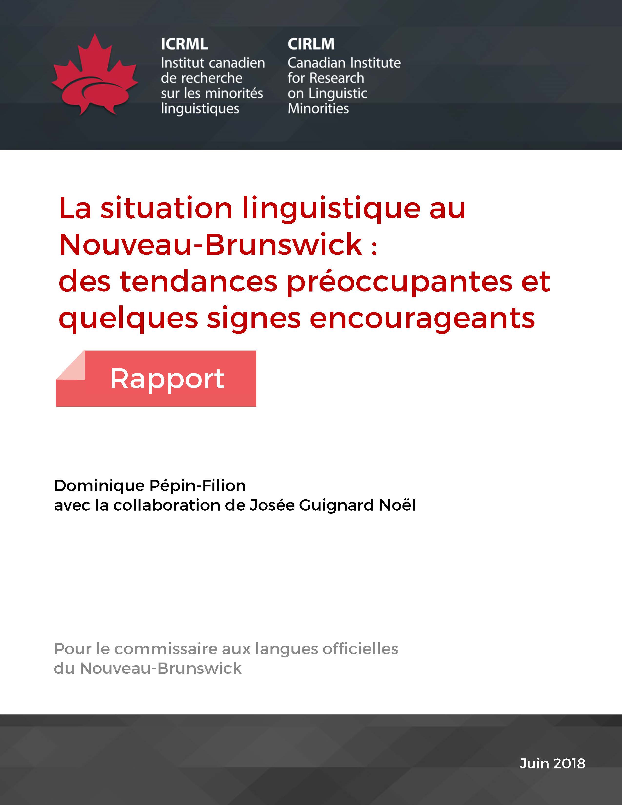 Rapport situation linguistique 2018 1